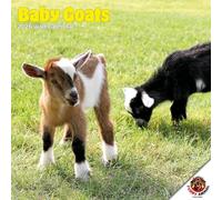 Dayplanner Publishing Baby Goats Calendar 2026, Large Square Wall Calendar, 16 Month, Baby Goats Gift Animal Calendar