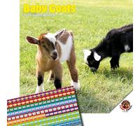 Dayplanner Publishing Baby Goats Calendar 2026, Large Square Wall Calendar With Organisational Stickers, 16 Month, Baby Goats Gift Animal Calendar