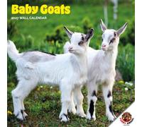 Dayplanner Publishing Baby Goats Calendar 2027, Large | Large square 16-month wall calendar, ideal as a Baby Goats gift.