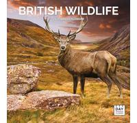 Dayplanner Publishing British Wildlife Calendar 2026, Large Square Wall Calendar, 16 Month, British Wildlife Gift Wildlife Calendar