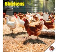 Dayplanner Publishing Chickens Calendar 2026, Large Square Wall Calendar, 16 Month, Chickens Gift Animal Calendar