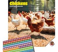 Dayplanner Publishing Chickens Calendar 2026, Large Square Wall Calendar With Organisational Stickers, 16 Month, Chickens Gift Animal Calendar