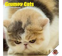 Dayplanner Publishing Grumpy Cats Calendar 2026, Large Square Wall Calendar, 16 Month, Grumpy Cats Gift Animal Calendar