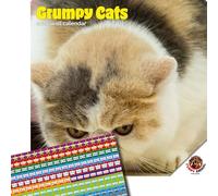 Dayplanner Publishing Grumpy Cats Calendar 2026, Large Square Wall Calendar With Organisational Stickers, 16 Month, Grumpy Cats Gift Animal Calendar