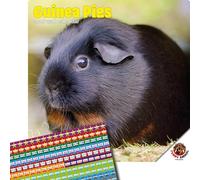 Dayplanner Publishing Guinea Pig Calendar 2026, Large Square Wall Calendar With Organisational Stickers, 16 Month, Guinea Pig Gift Animal Calendar