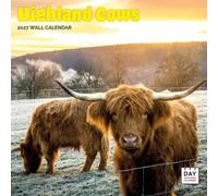 Dayplanner Publishing Highland Cows Calendar 2027, Large | Large square 16-month wall calendar, ideal as a Highland Cows gift.