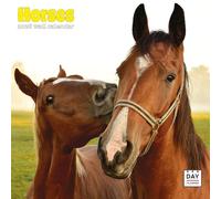 Dayplanner Publishing Horses Calendar 2026, Large Wall Calendar, 16 Month, Horses Gift Animal Calendar