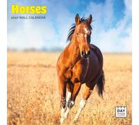 Dayplanner Publishing Horses Calendar 2027, Large Wall Calendar, 16 Month, Horses Gift Animal Calendar