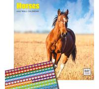 Dayplanner Publishing Horses Calendar 2027, Large with Stickers