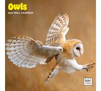 Dayplanner Publishing Owls Calendar 2027, Large | Large square 16-month wall calendar, ideal as a Owls gift.