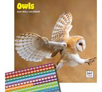 Dayplanner Publishing Owls Calendar 2027, Large with Stickers | Large square 16-month wall calendar with organisational stickers, ideal as a Owls gift.