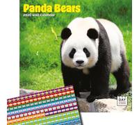 Dayplanner Publishing Panda Bears Calendar 2026, Large Square Wall Calendar With Organisational Stickers, 16 Month, Panda Bears Gift Wildlife Calendar