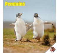 Dayplanner Publishing Penguins Calendar 2026, Large Square Wall Calendar, 16 Month, Penguins Gift Wildlife Calendar