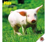 Dayplanner Publishing Pigs Calendar 2027, Large