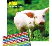 Dayplanner Publishing Pigs Calendar 2027, Large with Stickers