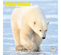 Dayplanner Publishing Polar Bears Calendar 2026, Large Square Wall Calendar, 16 Month, Polar Bears Gift Wildlife Calendar