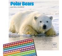 Dayplanner Publishing Polar Bears Calendar 2027, Large with Stickers
