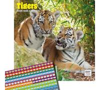 Dayplanner Publishing Tigers Calendar 2026, Large Square Wall Calendar With Organisational Stickers, 16 Month, Tigers Gift Wildlife Calendar