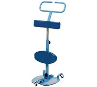 DAYS Orbi-Turn, Patient Transfer Aid for Standing & Seating Positioning, Functional Transfer Device for Weak or Limited Strength Patients, Ideal for Physical Therapy & Rehabilitation, 420 lb capacity