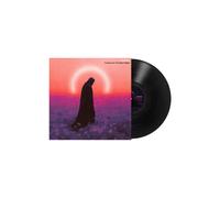 Dayseeker - Creature In The Black Night - Vinyl