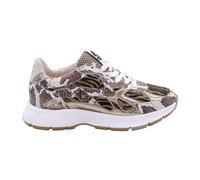Daysi 07.00, female, Floris van Bommel, Sneakers, Brown, 5 UK, Shoes 5 UK