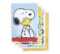 DaySpring Peanuts - Encouragement Inspirational Boxed Cards - 74870,Blue