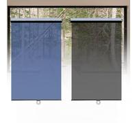 Daytime Roller Blinds One-Way See Through Curtain Suitable for Office No Drill Installation to Window Frames or Glass Mirrored Roller Shades Window Tinting Privacy Film(Black,W 110xH 200cm)
