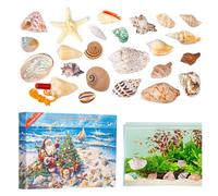 Dayysiuy Calendar Advent,24 Days Christmas Holiday Countdown | Seashells Learning Model Scientific Exploration Kit for Adults Teens Classroom School Home