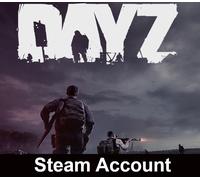 DayZ PC Steam Account
