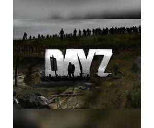 DayZ (PC) Steam Key - GLOBAL
