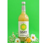 DAZY Margarita 750ml Cocktail Mixer