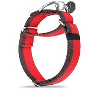 Dazzber Martingale Collar -4cm Width Extra Strong Nylon Dog Collar, No Pull Heavy Duty Dog Collar with 2-Color Stripe for Medium to XLarge Dogs (Red & Grey, Extra Large, 1 1/2 Inch Wide)