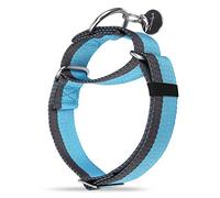 Dazzber Martingale Collar -4cm Width Extra Strong Nylon Dog Collar, No Pull Heavy Duty Dog Collar with 2-Color Stripe for Medium to XLarge Dogs (Baby Blue & Grey, Extra Large, 1 1/2 Inch Wide)