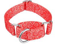Dazzber Martingale Collars for Dogs, No Pull Anti-Escape Pet Collar, Heavy Duty for Medium Dogs, Adjustable 14 Inch to 21 Inch, Red, Lucky Clouds