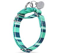Dazzber Martingale Collars for Dogs - Soft Adjustable Dog Collar, Durable D-ring Heavy Duty, Choke Collar for Large Medium Small Dogs (Medium, 2.5cm Wide, Teal Plaid)