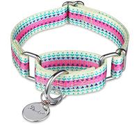 Dazzber Martingale Collars for Dogs - Soft Adjustable Dog Collar, Durable D-ring Heavy Duty, Choke Collar for Large Medium Small Dogs (Large, Cand Purple)