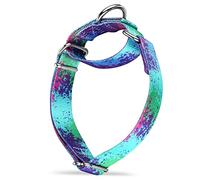Dazzber Martingale Dog Collars Colourful Oil Painting Pattern Series - No Pull Pet Collar Silky Soft for Medium and Large Dogs (Medium, 2.5cm Wide, Ecological Oasis)