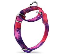Dazzber Martingale Dog Collars Colourful Oil Painting Pattern Series - No Pull Pet Collar Silky Soft for Medium and Large Dogs (Small, 1.5cm Wide, Purple Secret)
