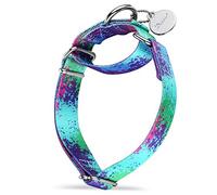 Dazzber Martingale Dog Collars Colourful Oil Painting Pattern Series - No Pull Pet Collar Silky Soft for Medium and Large Dogs (Small, 1.5cm Wide, Ecological Oasis)