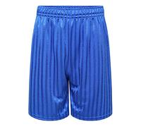 Dazzle Collection Boys Girls Kids Children's Shadow Strip Shorts Elasticated Lightweight Active Wear Gym Games Sport (Royal Blue, 9-10 Years)