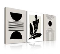 Dazzlewall 3Pcs Framed Boho Abstract Wall Art Decor, Black and White Geometric Canvas Wall Art for Bedroom Living Room Decor 12x16 in