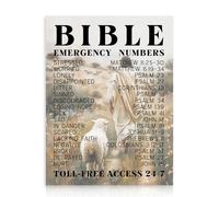 Dazzlewall Inspirational Bible Emergency Number Wall Art,Jesus & Lamp Walking in Field Religious Canvas Prints for Church Prayer Room Bedroom Living Room Decor 12x16 in Unframed