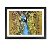 Dazzling Peacock Bird In Abstract Modern Art Framed Wall Art Print, Ready to Hang Picture for Living Room Bedroom Home Office Décor, Black A2 (64 x 46 cm)