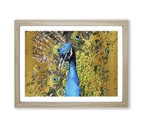 Dazzling Peacock Bird In Abstract Modern Art Framed Wall Art Print, Ready to Hang Picture for Living Room Bedroom Home Office Décor, Oak A2 (64 x 46 cm)