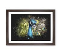 Dazzling Peacock Bird Paint Splash Framed Print | A2 Walnut Framed Wall Art | Ready to Hang | Modern Animal Picture | Living Room Bedroom Lounge Office