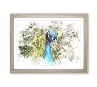 Dazzling Peacock Bird Watercolour Modern Framed Wall Art Print, Ready to Hang Picture for Living Room Bedroom Home Office Décor, Oak A2 (64 x 46 cm)