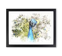 Dazzling Peacock Bird Watercolour Modern Framed Wall Art Print, Ready to Hang Picture for Living Room Bedroom Home Office Décor, Black A2 (64 x 46 cm)