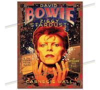 DB ZS - Music Metal Signs for Mancave, Shed, Garage, Kitchen, Man Cave. Gift Present for Birthday, Christmas, Xmas. Retro Vintage Reproduction Memorabilia Tin Signs. 20cm x 15cm #MS461-M