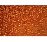 DB045 7.2g Silver Lined Orange Miyuki 11/0 Delica Japanese Seed Beads 1.6mm Cylinder Beading Supplies Jewellery Making Supply