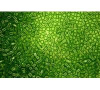 DB1107 7.2g Transparent Olive Miyuki 11/0 Delica Japanese Seed Beads 1.6mm Cylinder Beading Supplies Jewellery Making Supply